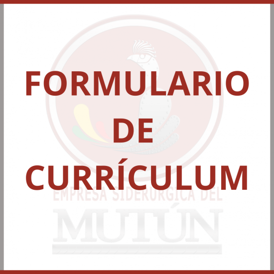FORMULARIO DE CURRÍCULUM  - Empresa Siderúrgica del Mutún
