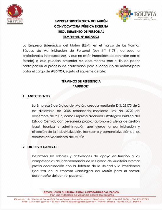 CONVOCATORIA AL CARGO DE AUDITOR   - Empresa Siderúrgica del Mutún