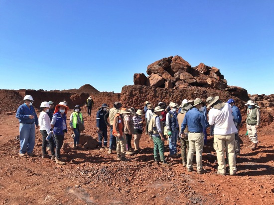 Geólogos visitan planta siderúrgica y cerro del Mutún 
