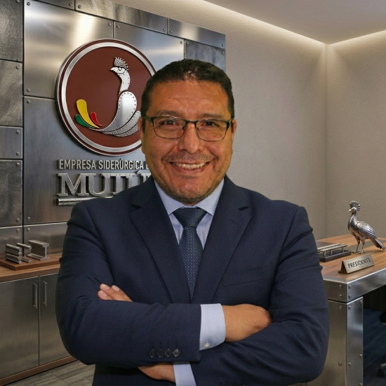 ALVARO TEJERINA OLIVERA 
